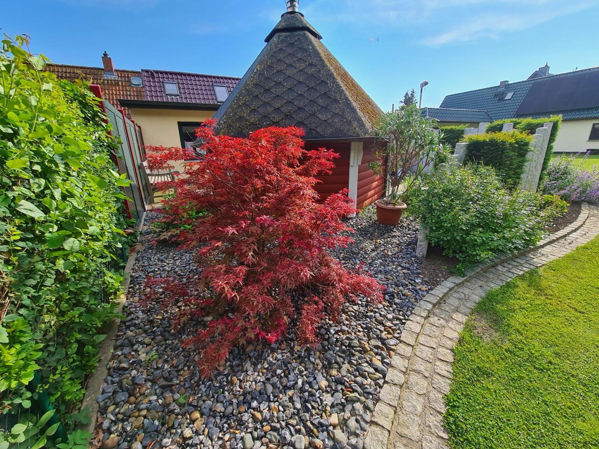 Ferienhaus Saupe Schaprode Buitenkant foto